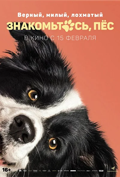 Постер к фильму